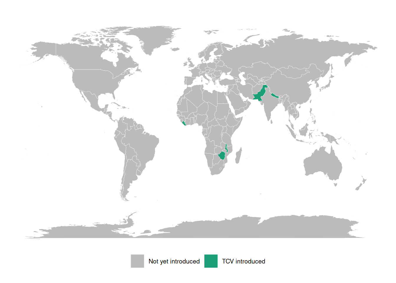 World map highlighting countries that have introduced typhoid conjugate vaccines (TCV) into routine immunization (green). As of 2023 only a handful of countries — Pakistan, Nepal, Liberia, Zimbabwe, Malawi, and Samoa — have done so, despite much wider typhoid burden.